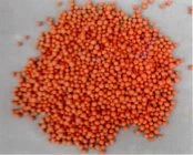 Seramik grenn filtè